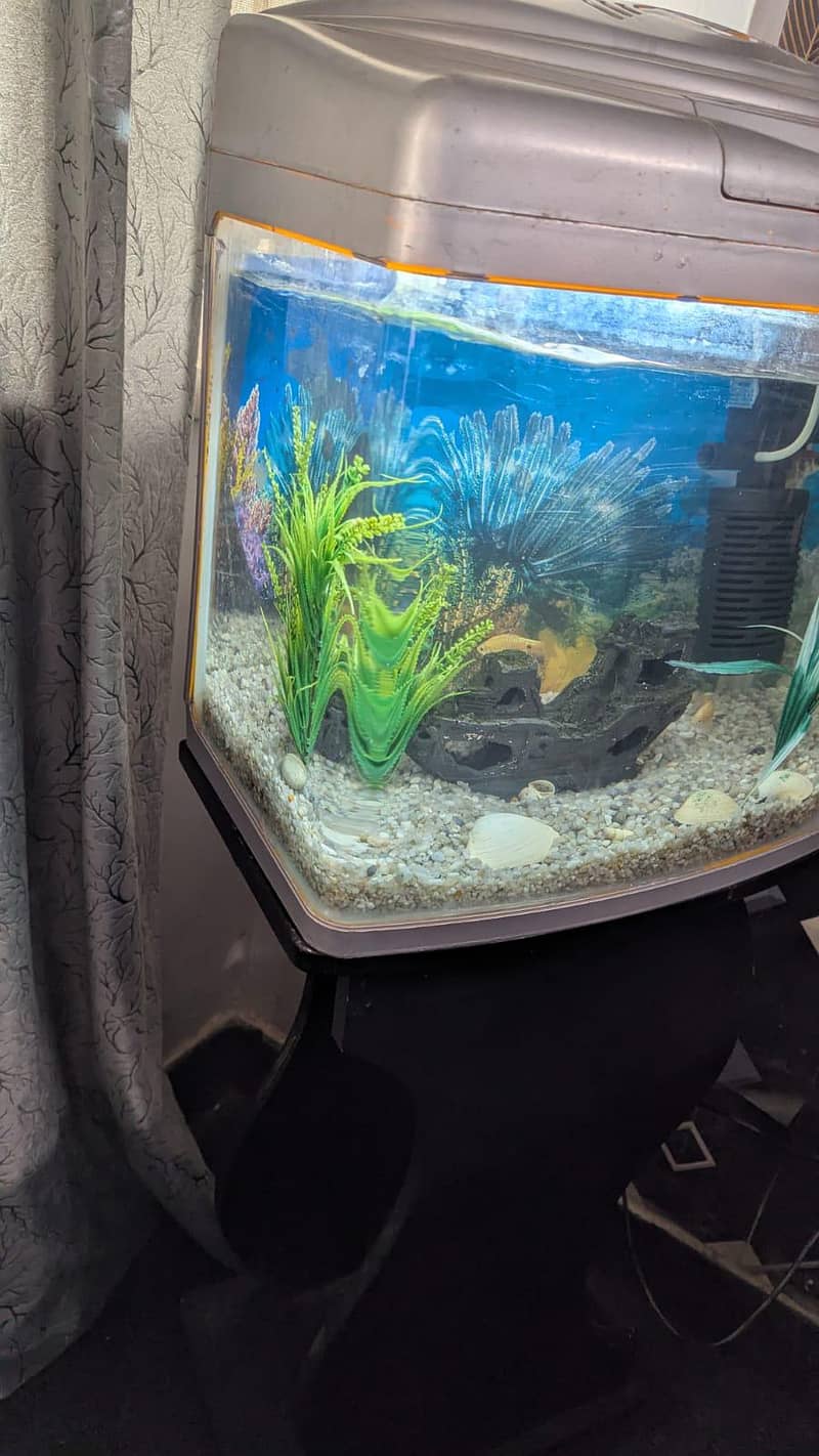 Aquarium 1
