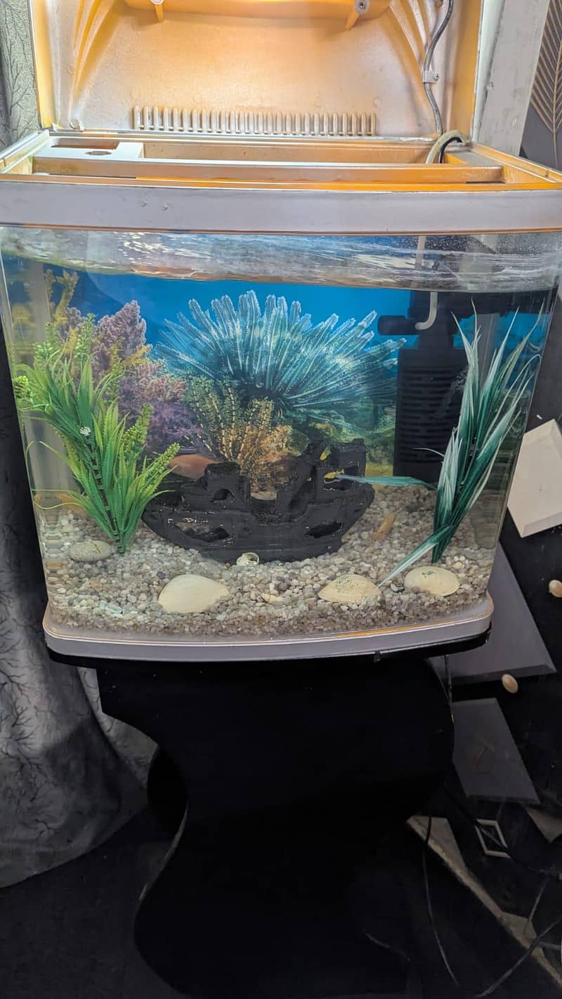 Aquarium 2