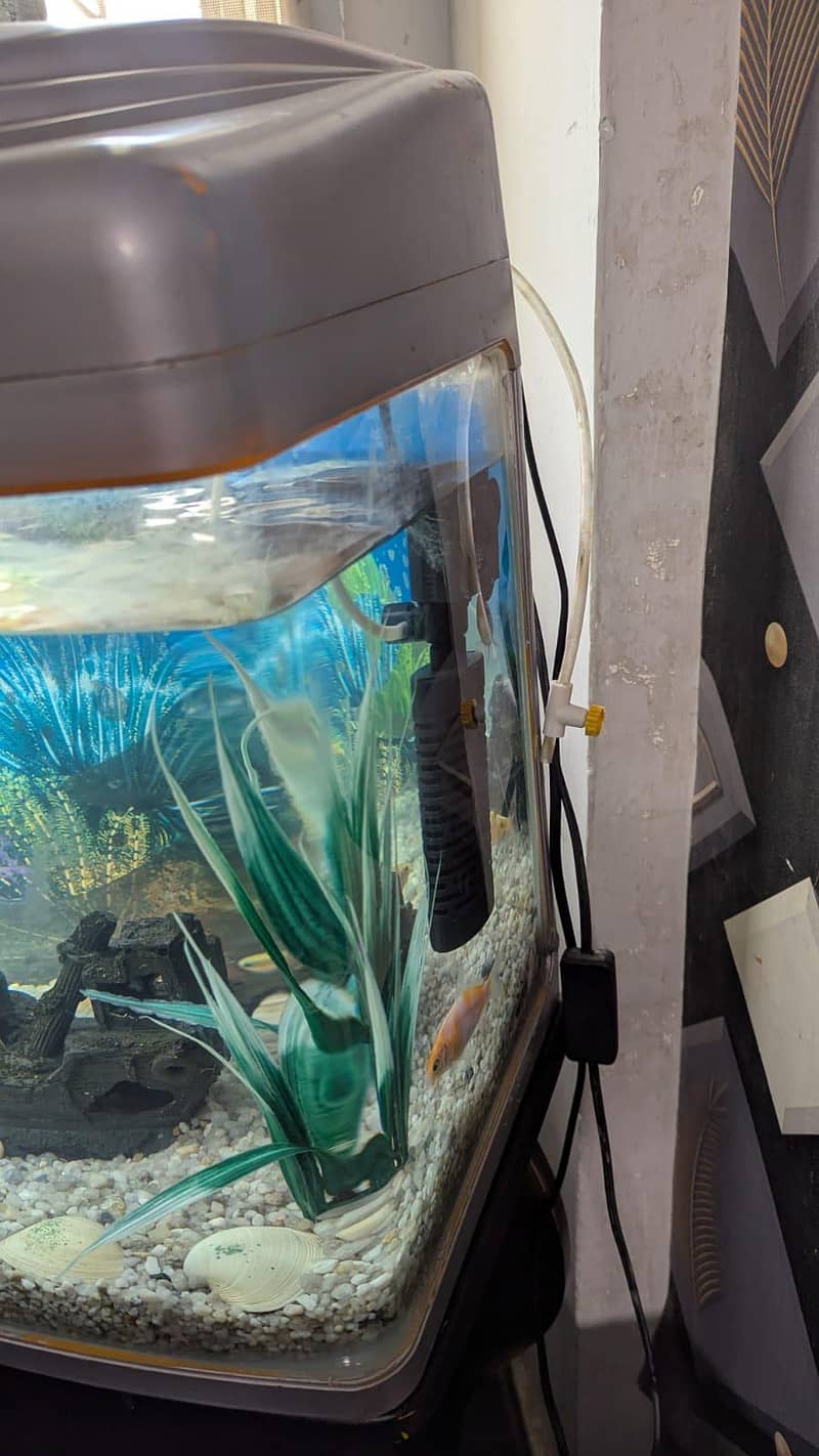 Aquarium 3