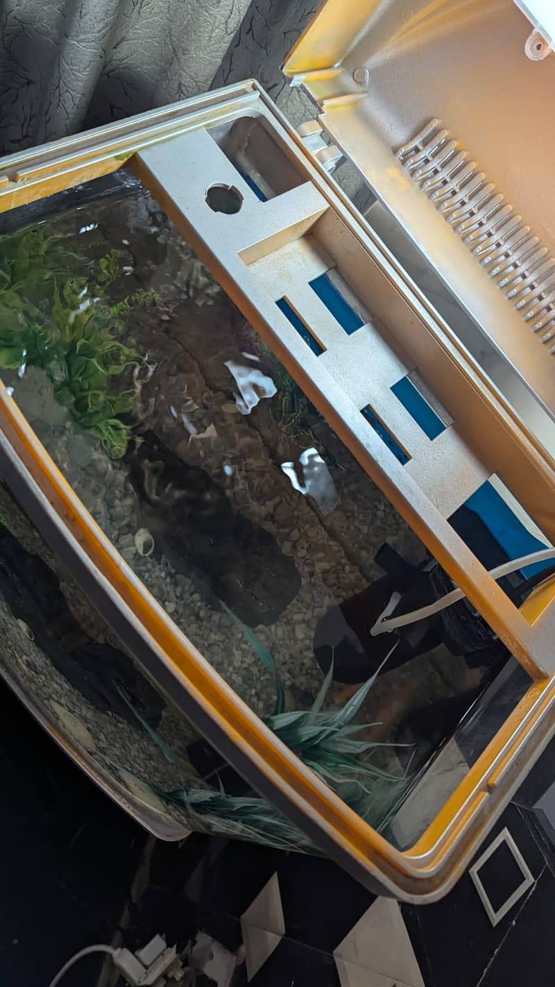 Aquarium 4