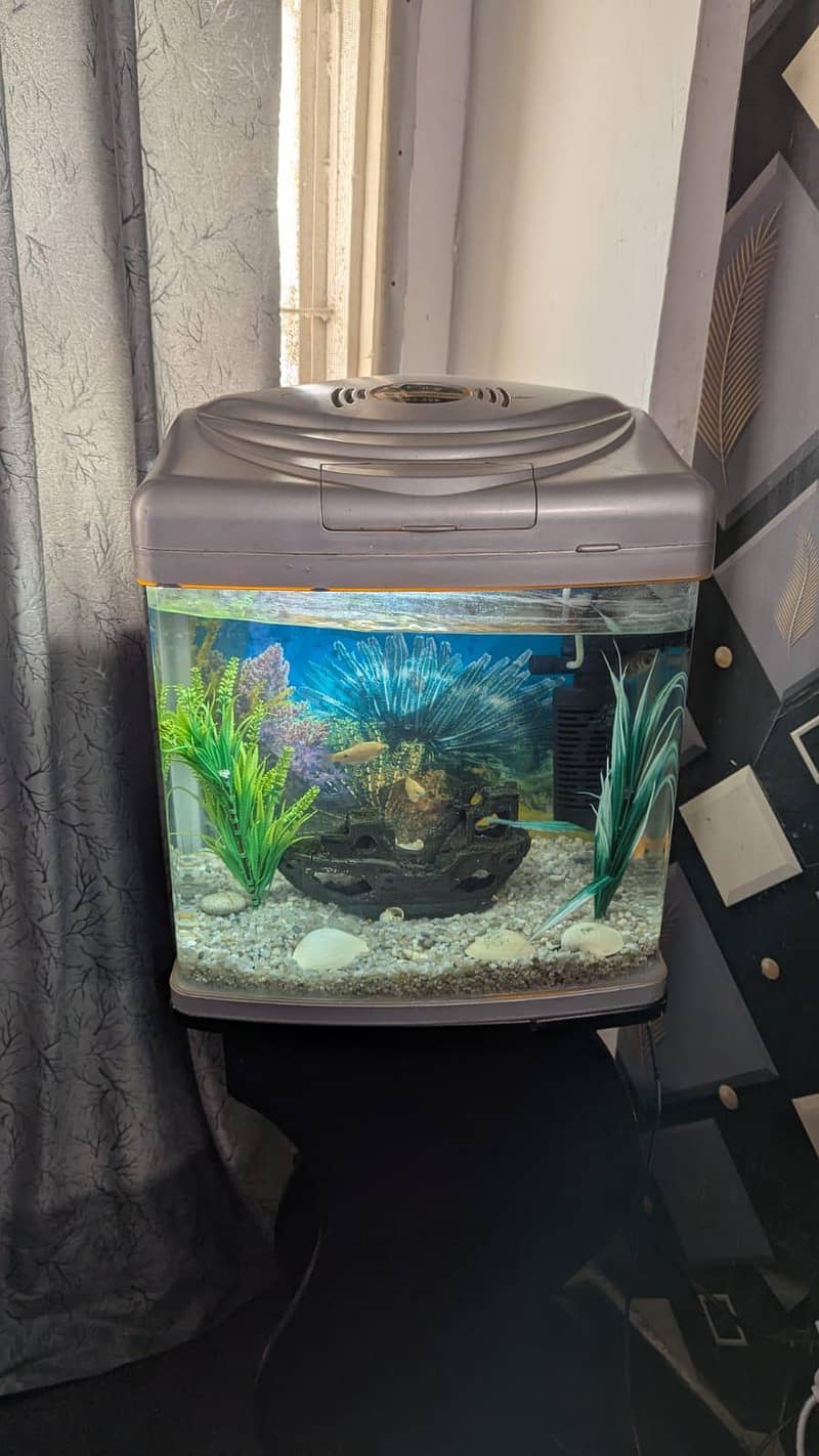 Aquarium 5