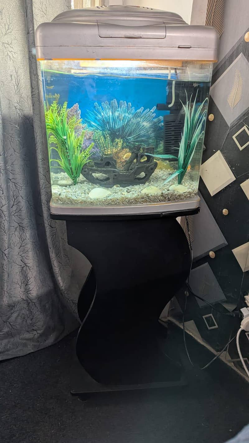 Aquarium 6