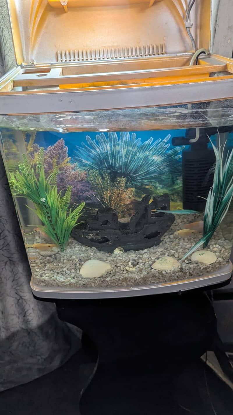 Aquarium 7
