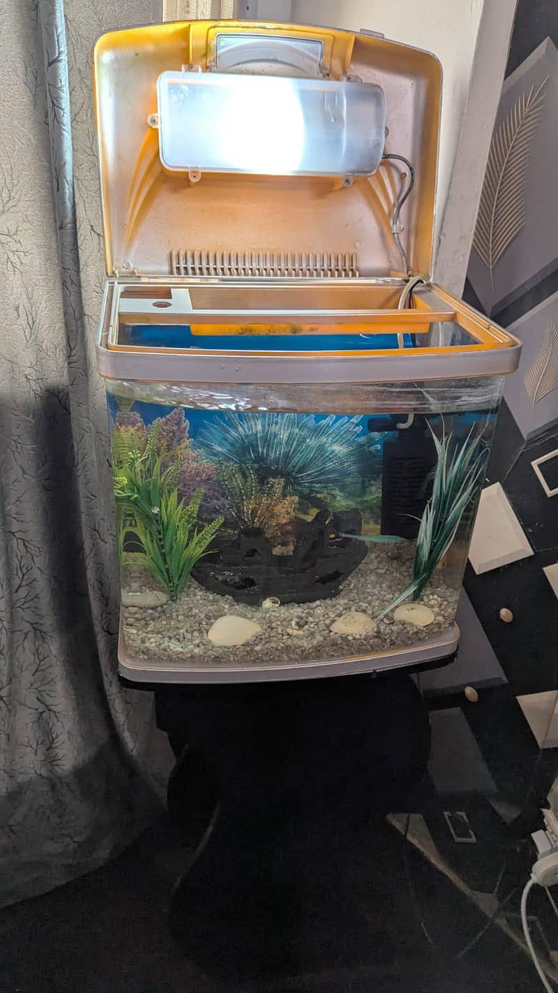 Aquarium 8