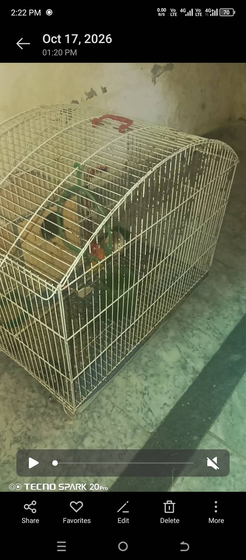 Bird Cage 1