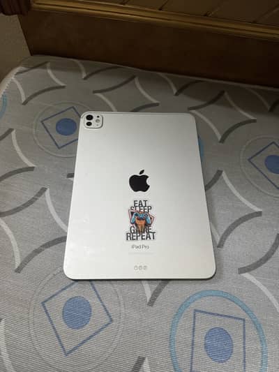 Ipad pro M4 11 inch 256gb