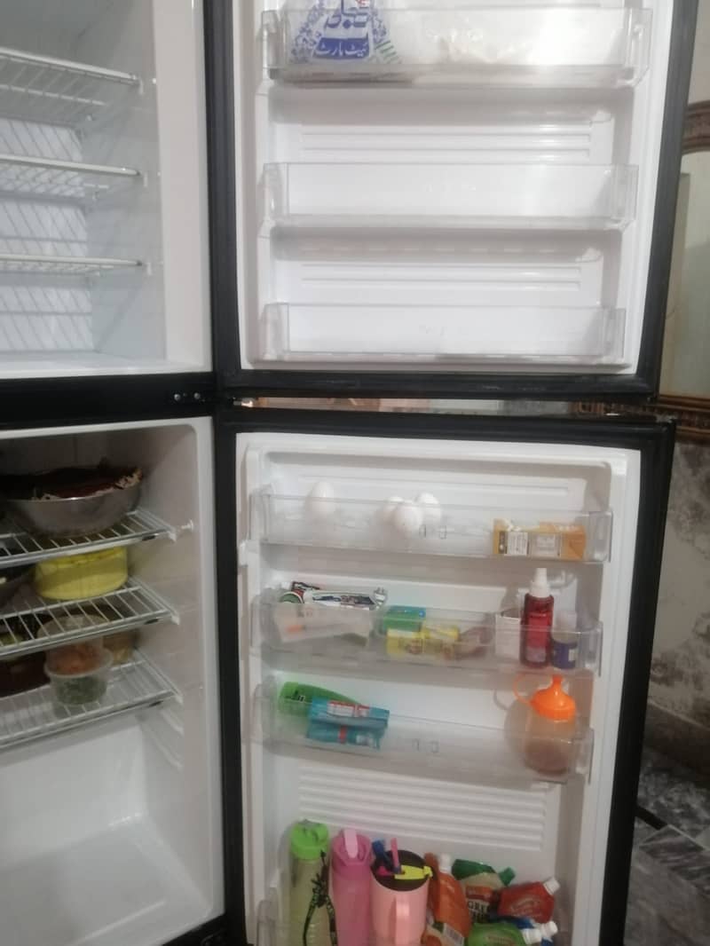 PEL Refrigerator 6