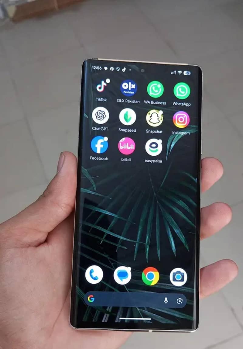 Google Pixel 6 Pro 1