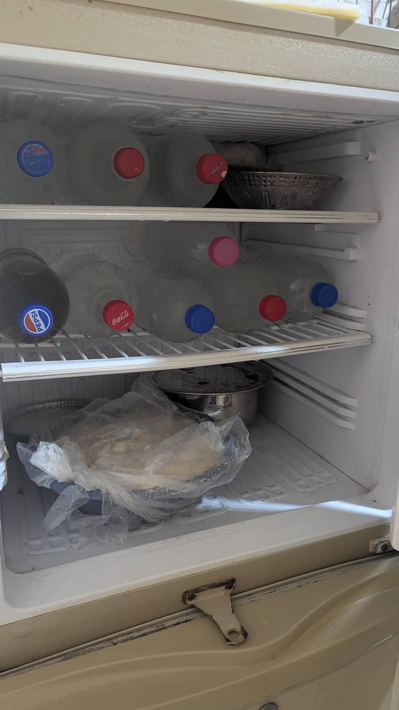 PEL Refrigerator 1