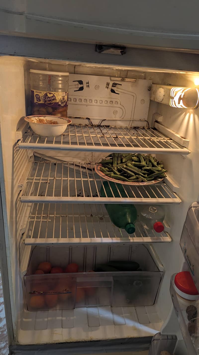 PEL Refrigerator 2