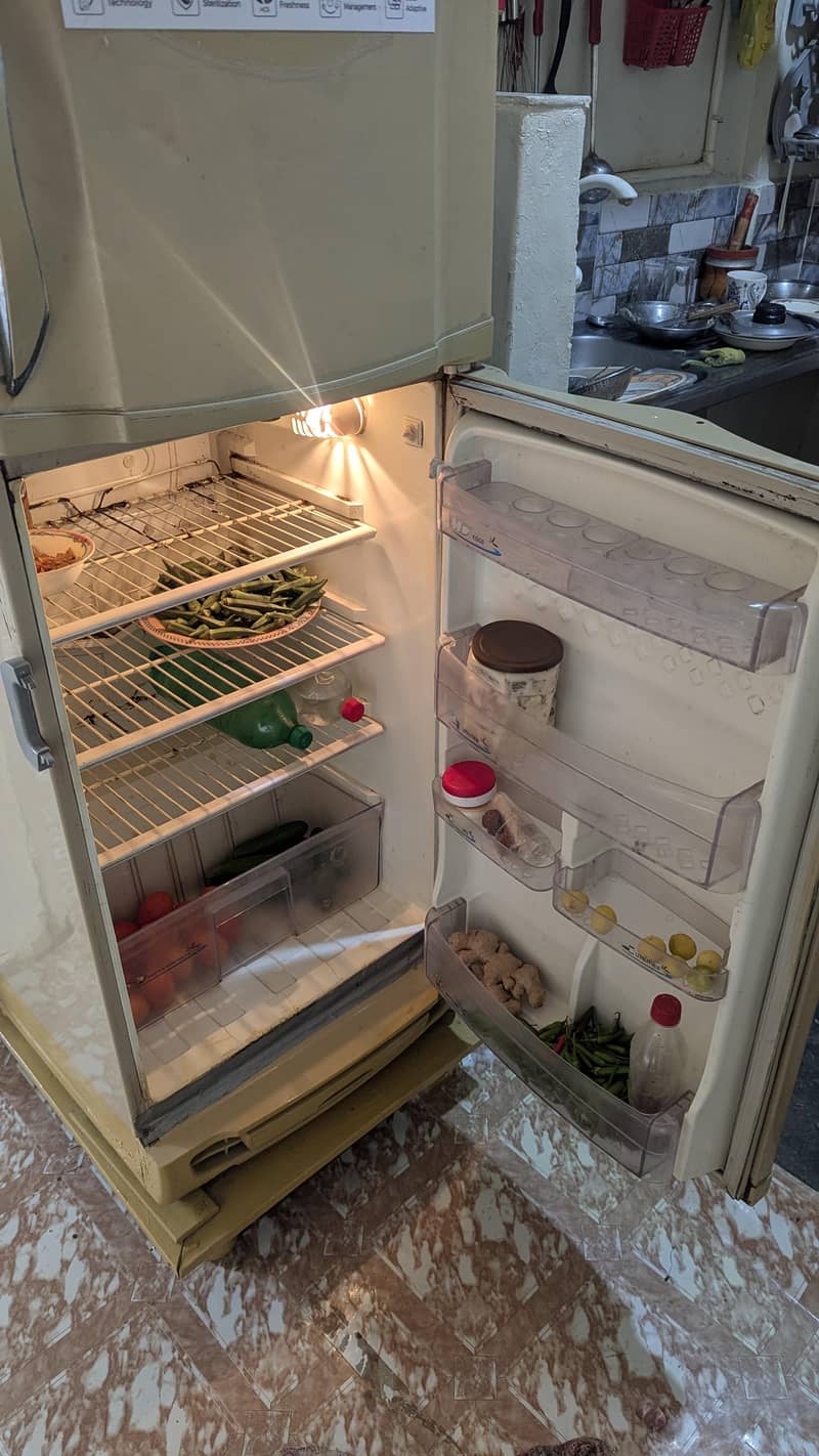 PEL Refrigerator 3