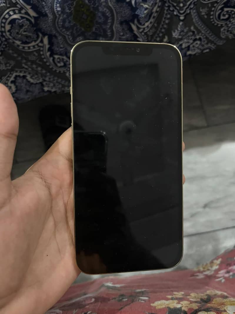 Apple iPhone 12 Pro Max 1