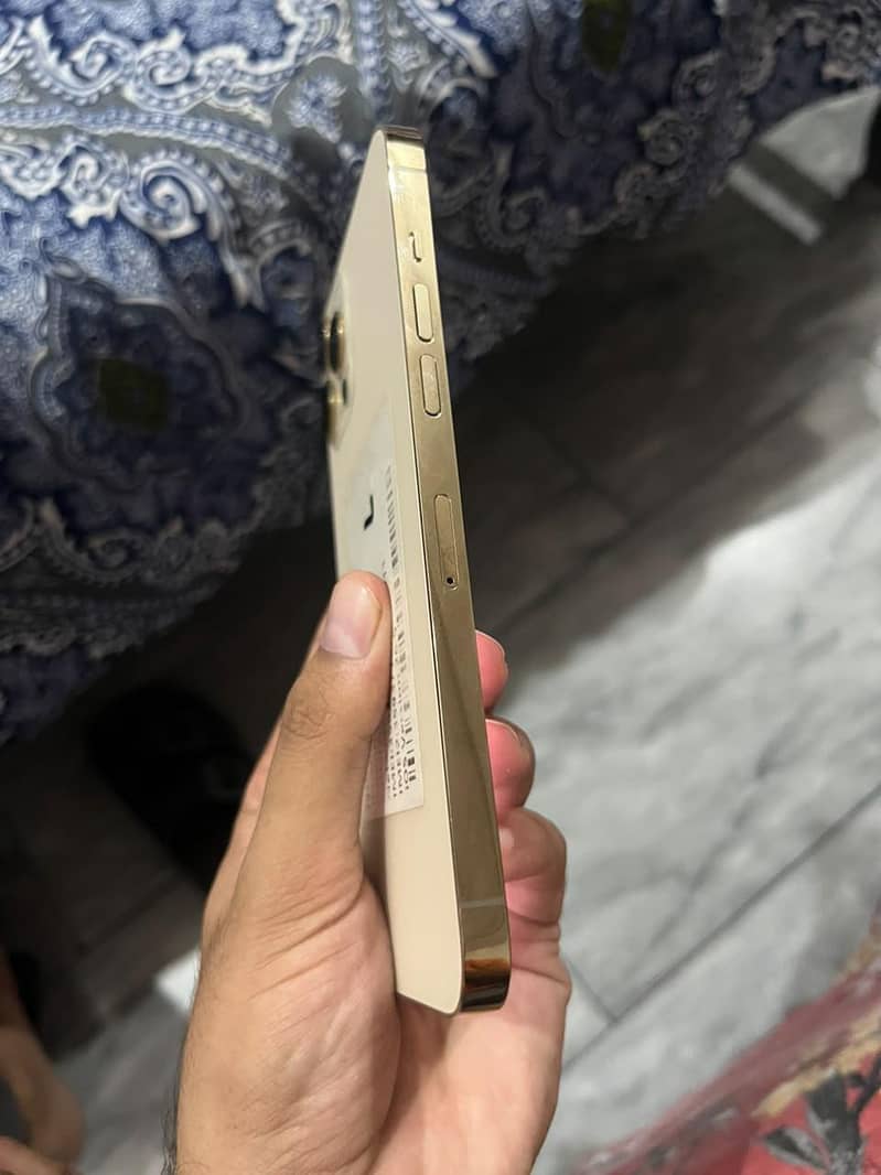 Apple iPhone 12 Pro Max 3