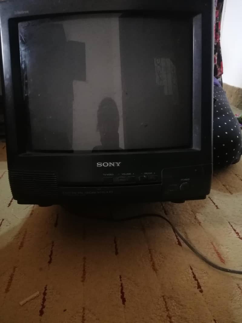 Television 3