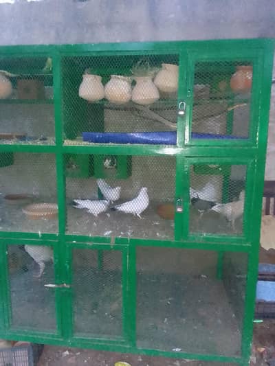 tripple portion cage