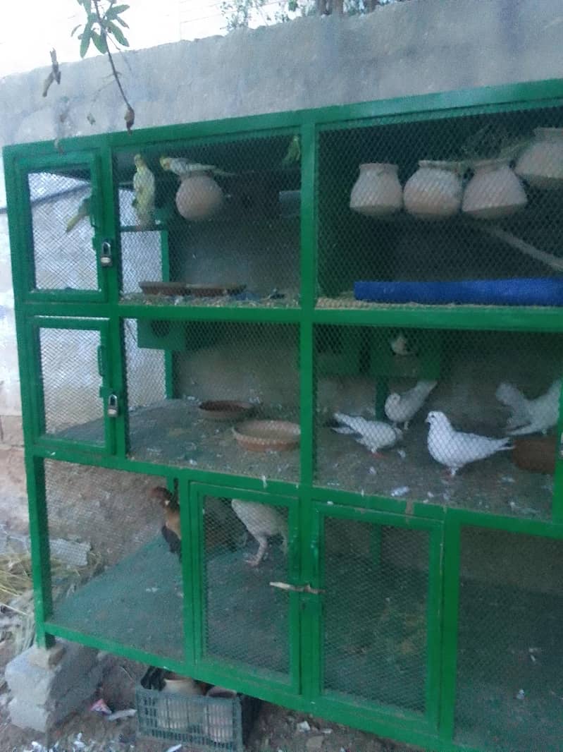 tripple portion cage 1