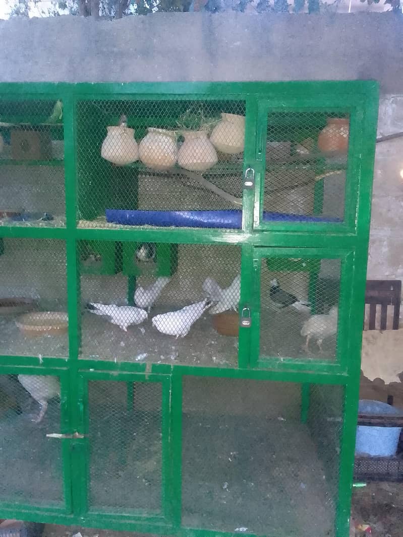 tripple portion cage 2