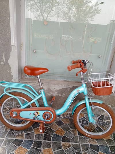 imported girls bicycle in excellent condition