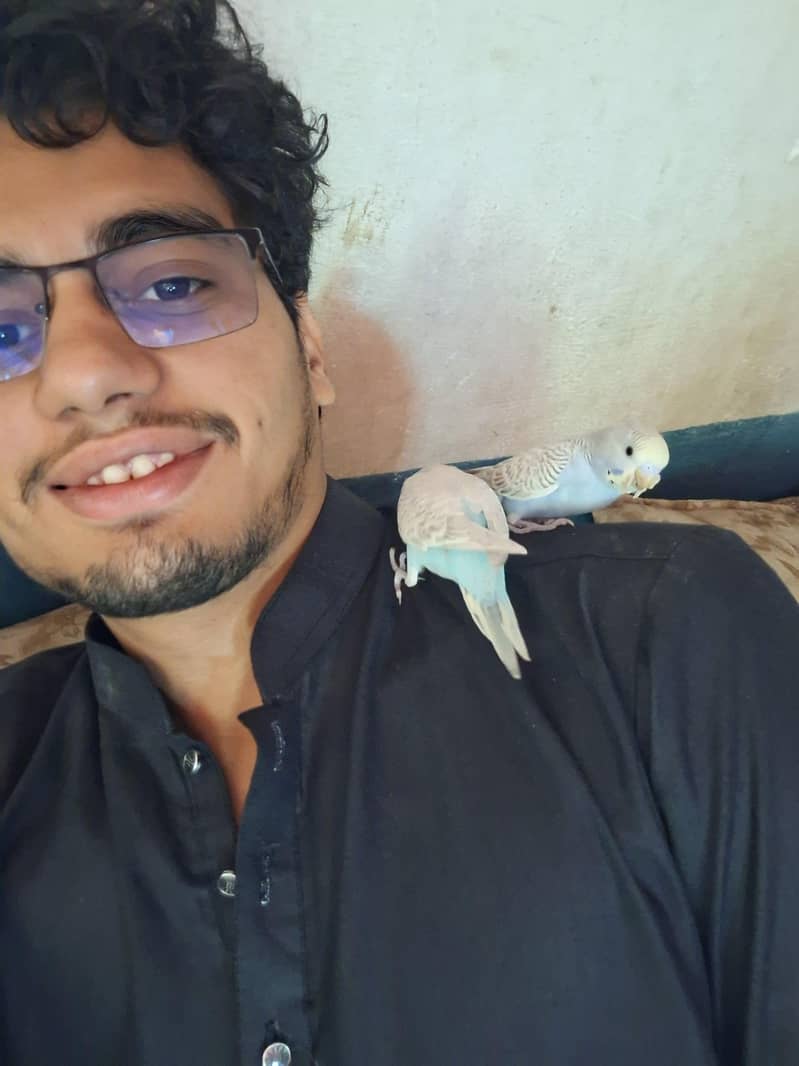 پٹے بھی ہیں پیر بھی ہیں جس کو بھی چاہیے اور اب تک کے لیے 9