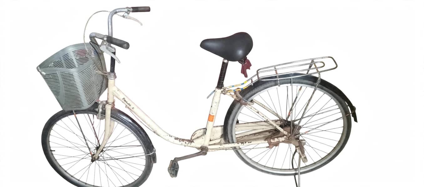 Bocycle 1