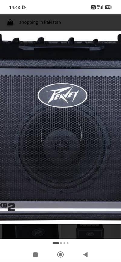 paevey kb-2 used speaker in ok condition