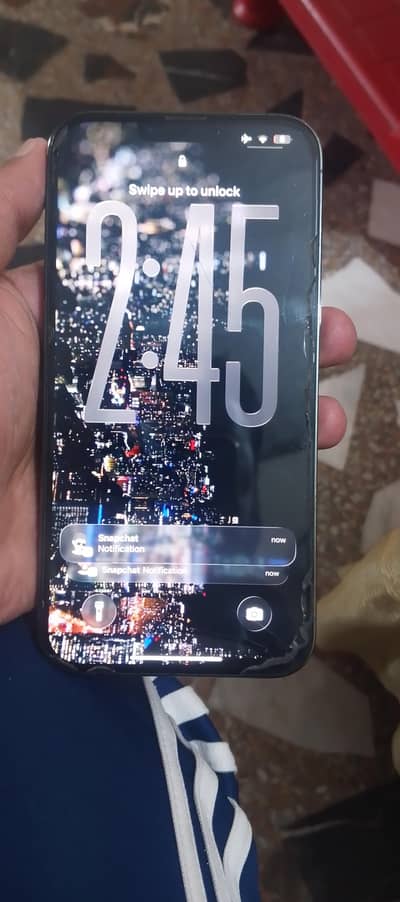 Apple iPhone 13 Pro Max