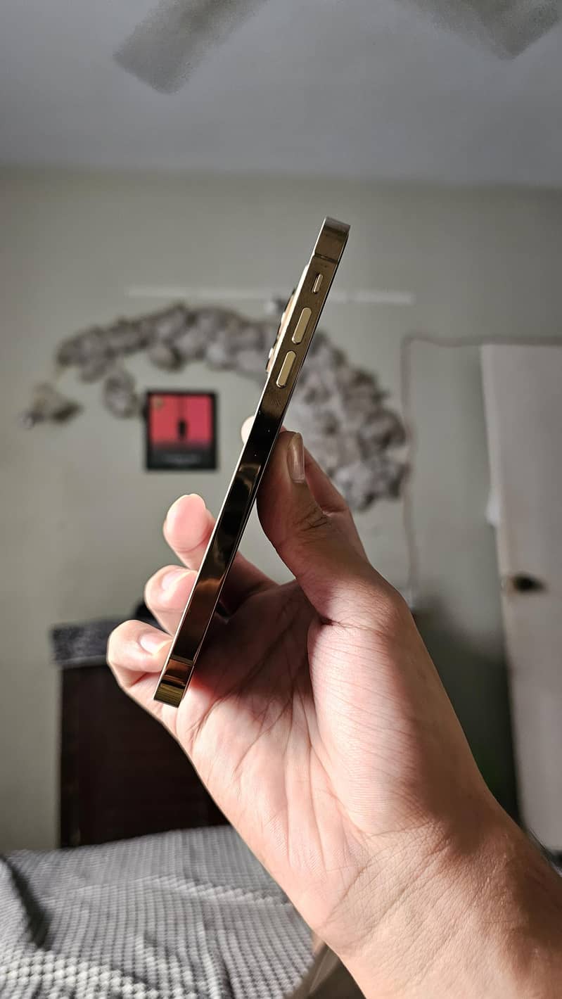 iphone Xr 1