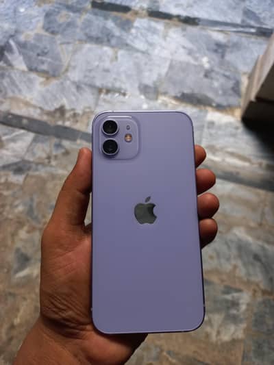 Apple iPhone 12