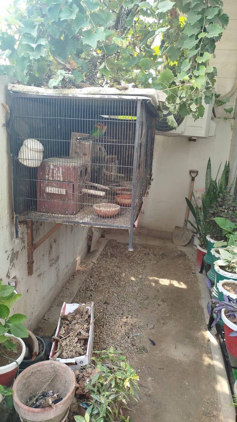 LARGE SIZE BIRD CAGE 0