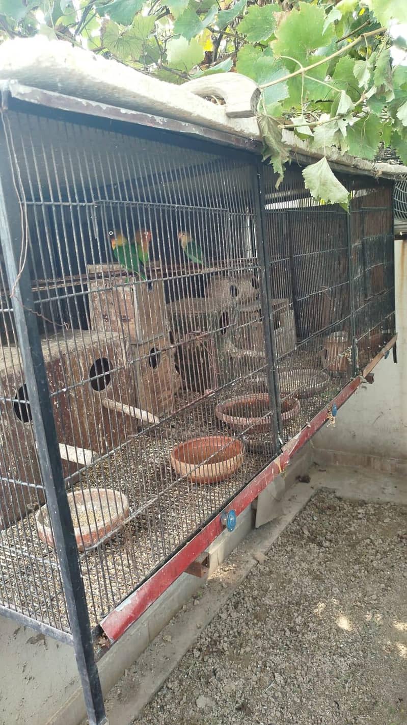 LARGE SIZE BIRD CAGE 1
