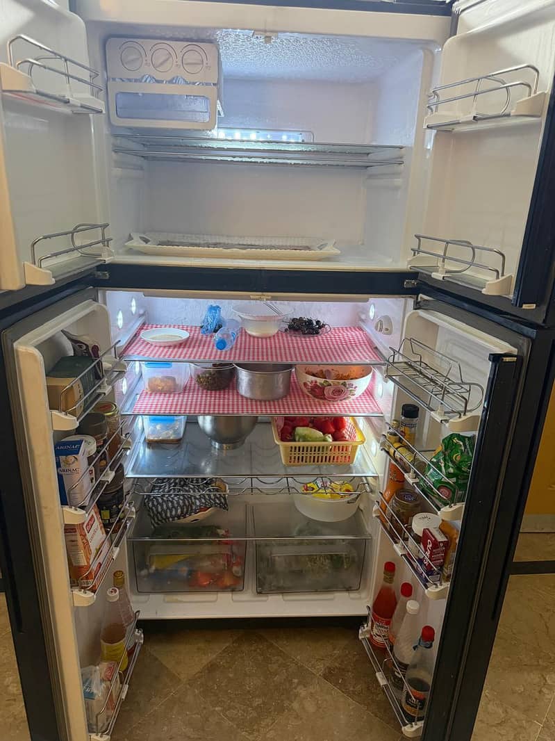 double door fridge 4