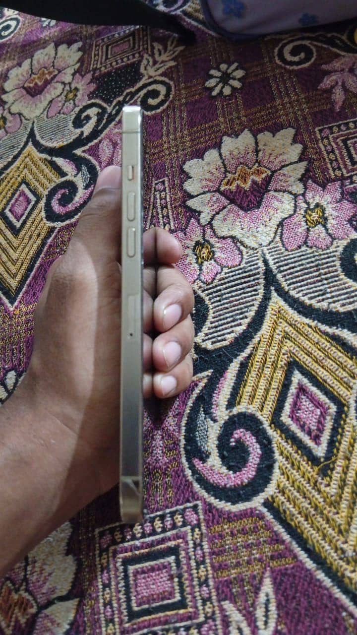 Apple iPhone 12 Pro Max 2