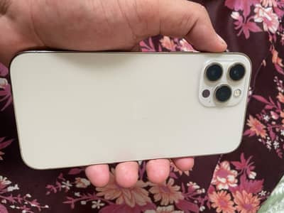 Apple iPhone 12 Pro Max