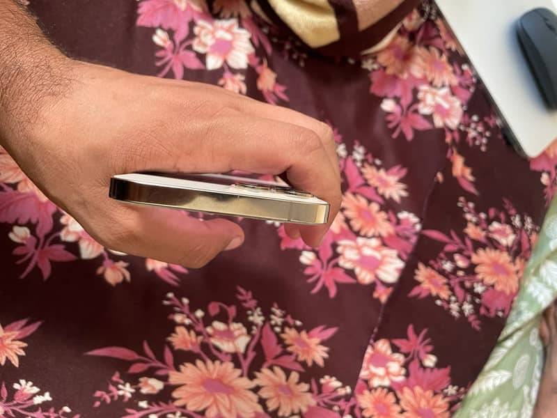 Apple iPhone 12 Pro Max 1