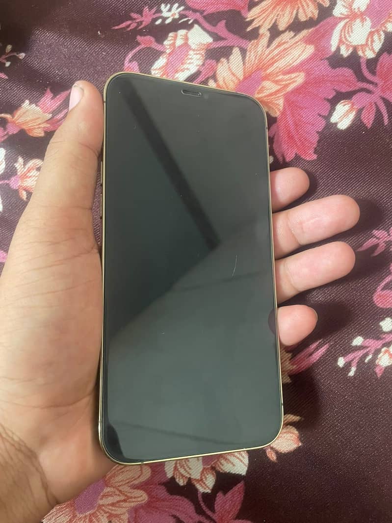 Apple iPhone 12 Pro Max 2