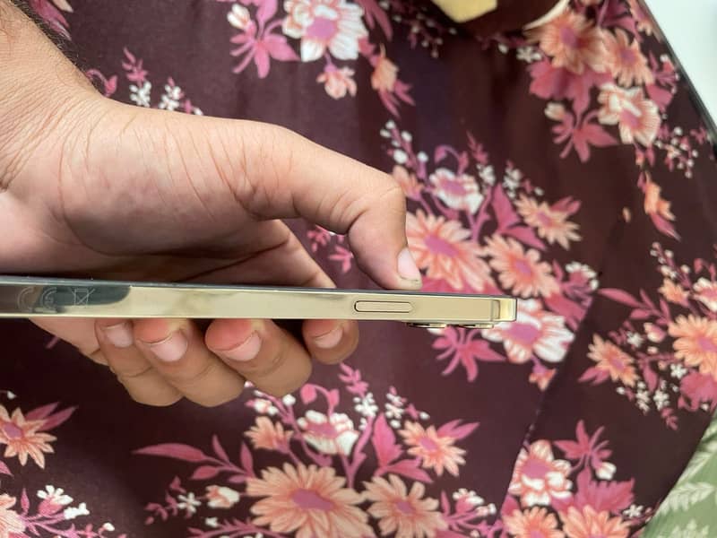 Apple iPhone 12 Pro Max 3