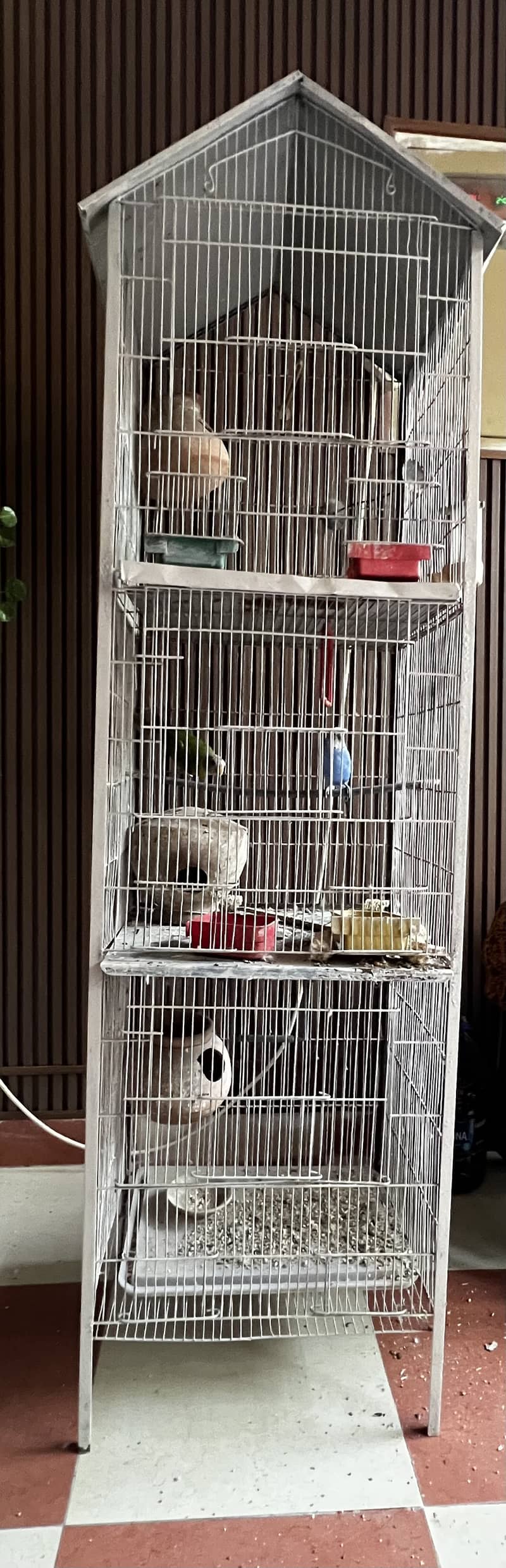 Bird cage 0