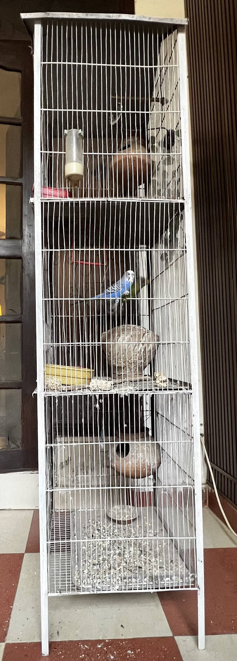 Bird cage 1