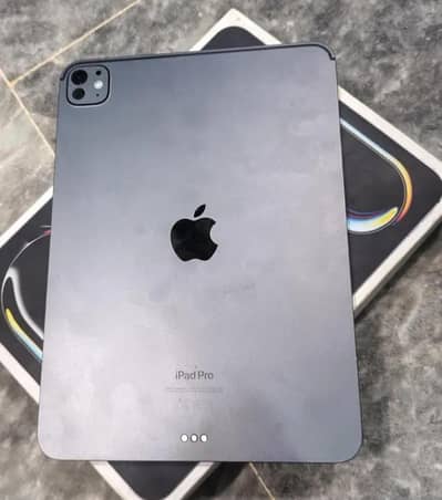 IPAD PRO M4 11 INCH 256 GB