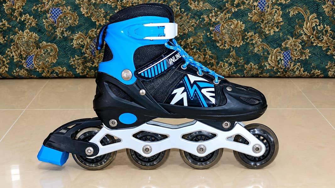 Skating Shoes 1