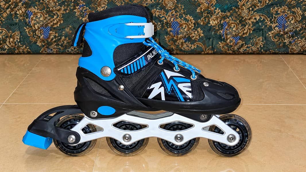 Skating Shoes 2