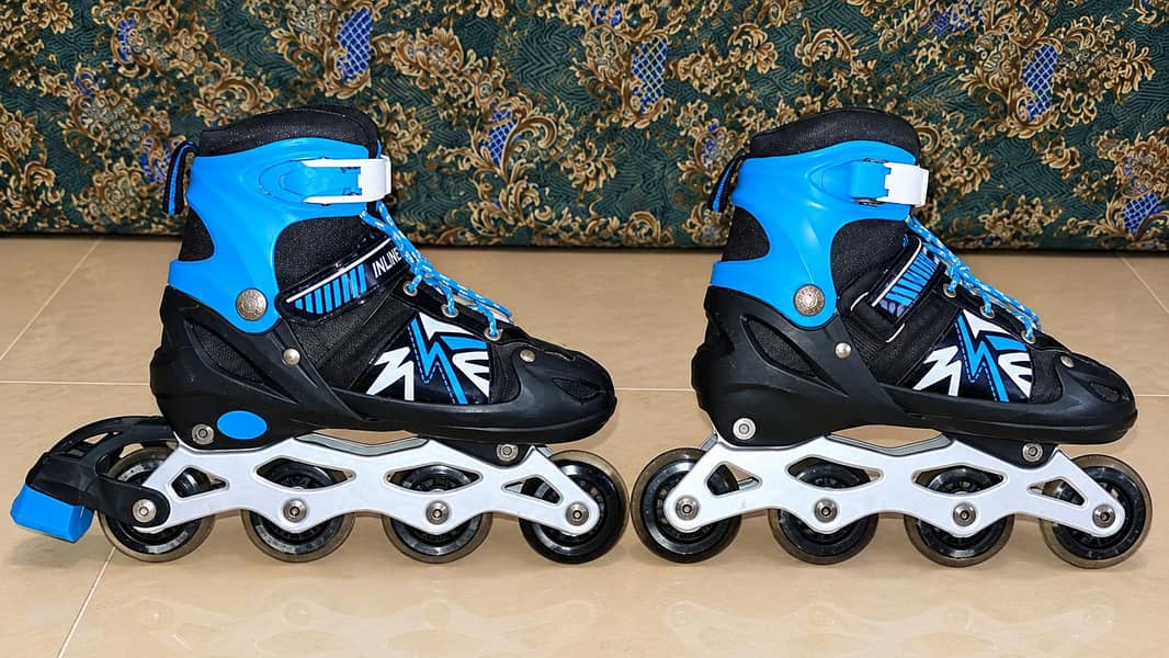 Skating Shoes 3