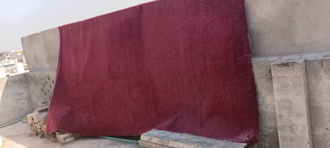 Red Carpet Room Flooring with Decorative Border