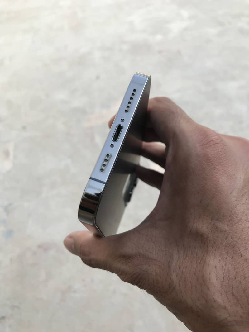 Apple iPhone 13 Pro Max 1