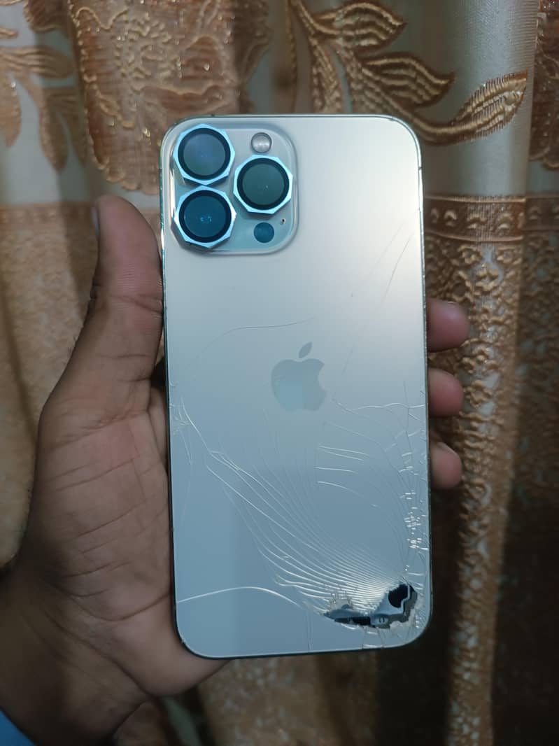 Apple iPhone 13 Pro Max 1