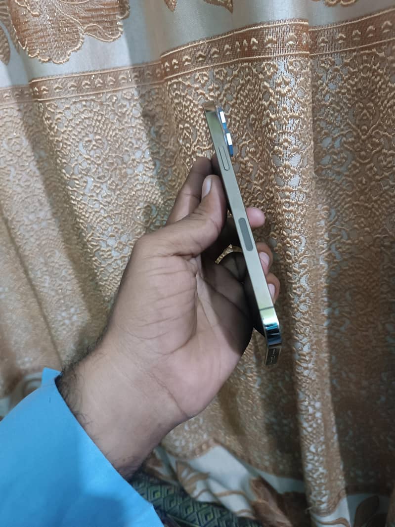 Apple iPhone 13 Pro Max 3