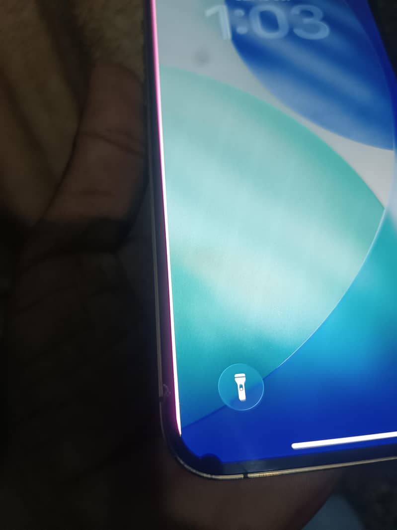 Apple iPhone 13 Pro Max 7