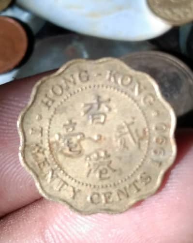 Hong kong "scallop Coin"