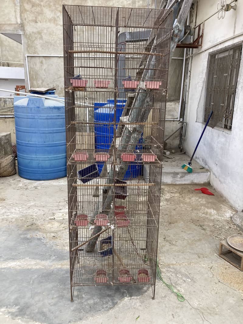Iron cages 2