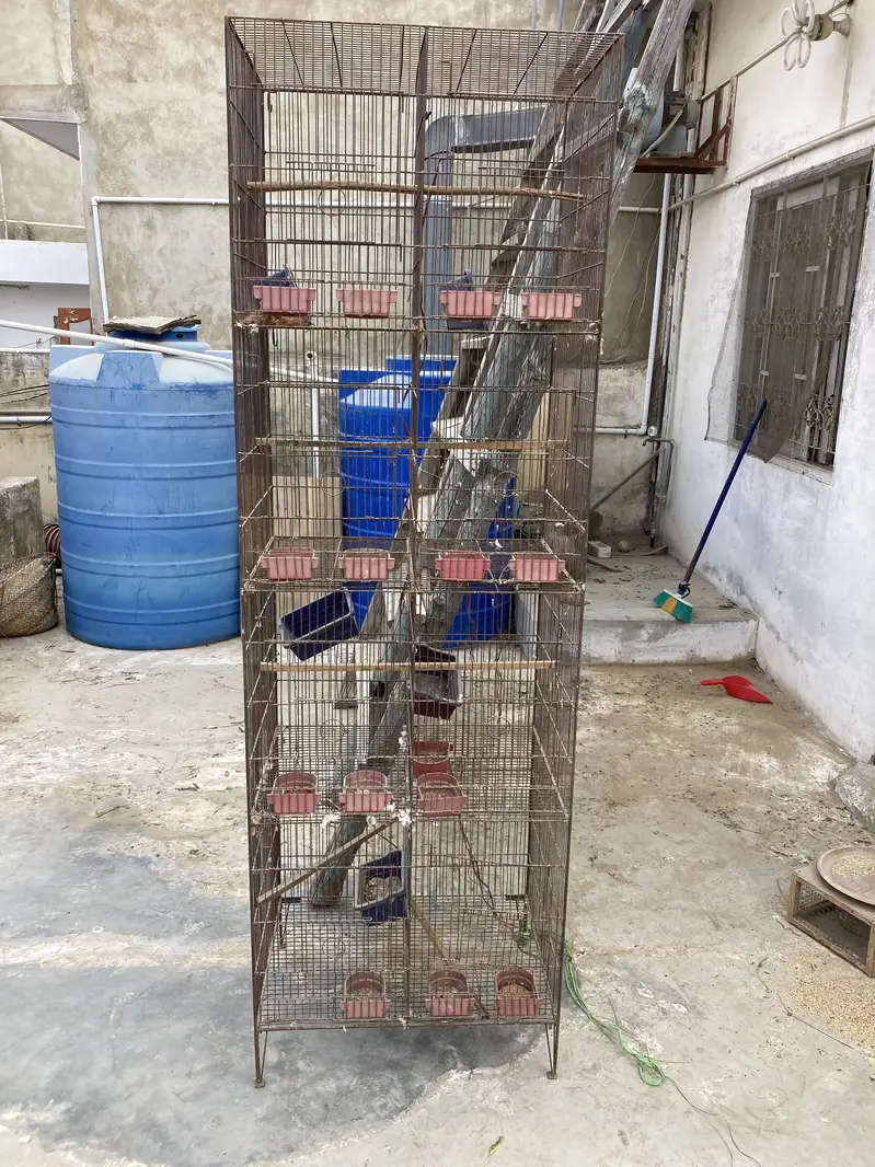Iron cages — photo 3